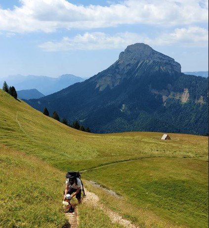 Mężczyzna idzie leśną ścieżką, trzymając za rękę małe dziecko.