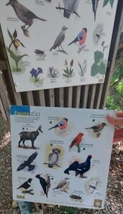 Karta informacyjna przy wejściu na szlak do lasu w górach o tym, jakie zwierzęta się tam znajdują.